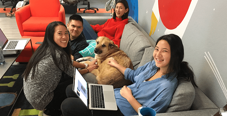 image-careers-slider-office-pups