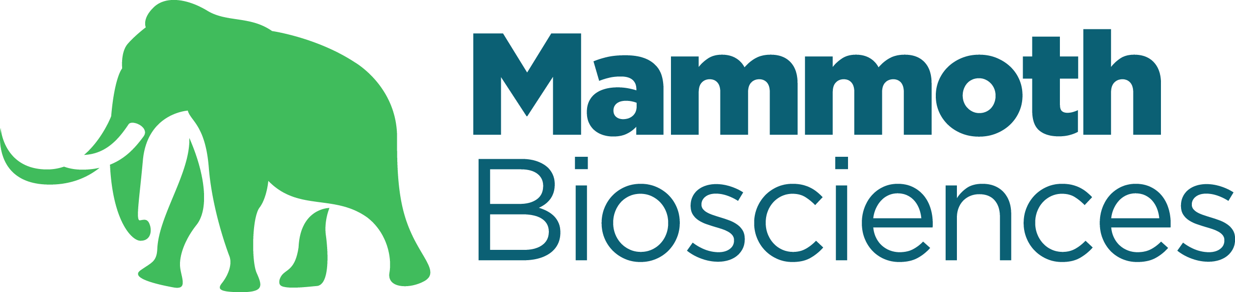 Customer logo